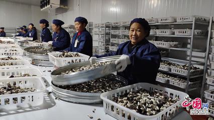 23省市2100余款產品齊聚全國菌博會，《中國食用菌產業年鑒》即將發布